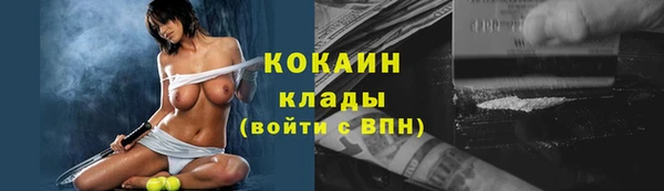 apvp Алексин