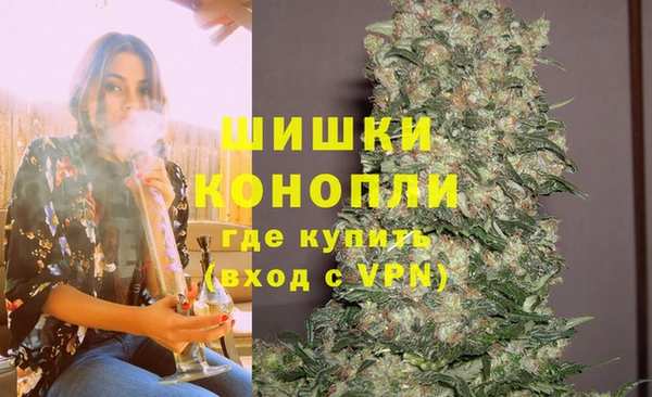 твердый Алзамай